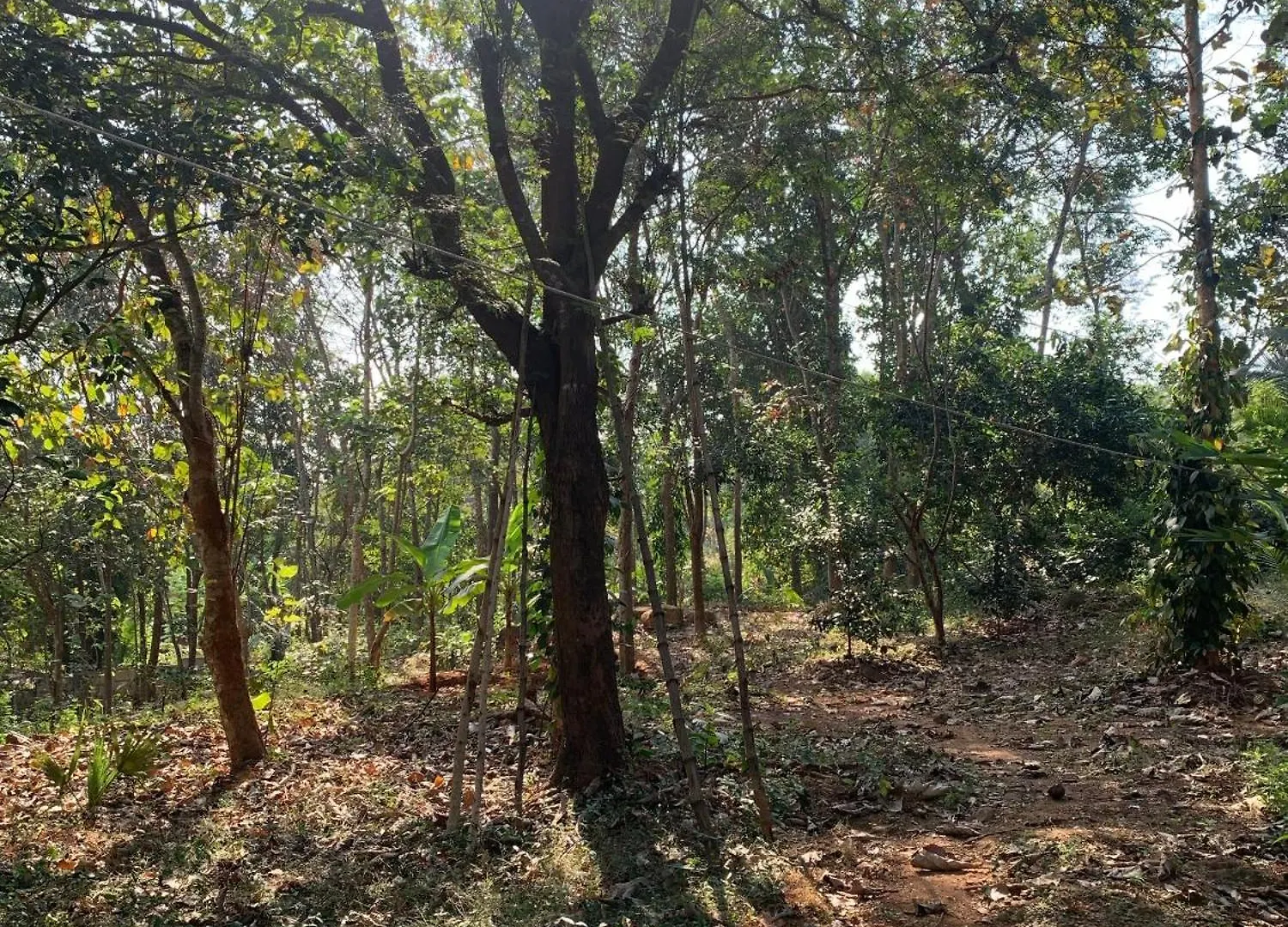 Shantam- Peace Has An Address Now! Cheruthuruthi Holiday home